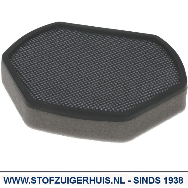 Bosch Easyy'y HEPA Schuimfilter - 00579275