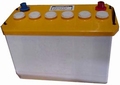 Batterij Kit Tractie Monoblock  2 x 12V / 110AH/H 